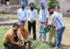 ਐਨਈਪੀ ਸਾਰਥੀ ਪਹਿਲ: ਓਪਨ ਯੂਨੀਵਰਸਿਟੀ ਵਿੱਚ ਹਰਿਆਵਲੀ ਵੱਲ ਕਦਮ