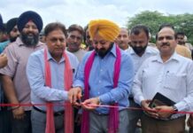 ਪਟਿਆਲਾ ਦੇ ਵਿਕਾਸ ਕਾਰਜਾਂ ਵਿੱਚ ਕੋਈ ਕਮੀ ਨਹੀਂ ਆਉਣ ਦਿੱਤੀ ਜਾਵੇਗੀ: ਅਜੀਤਪਾਲ ਸਿੰਘ ਕੋਹਲੀ