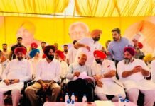 ਸਨੌਰ ਹਲਕੇ ਦੇ 79 ਪਿੰਡਾਂ ਦੀ 96,598 ਏਕੜ ਜ਼ਮੀਨ ਨੂੰ ਮਿਲਿਆ ਸਿੰਚਾਈ ਲਈ ਨਹਿਰੀ ਪਾਣੀ: ਬਰਿੰਦਰ ਗੋਇਲ