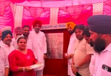 ਪਾਤੜਾਂ ਤੇ ਘੱਗਾ ਦੇ ਵਸਨੀਕਾਂ ਨੂੰ ਵੀ ਮਿਲੇਗਾ ਸਾਫ਼-ਸੁਥਰਾ ਪੀਣ ਵਾਲਾ ਨਹਿਰੀ ਪਾਣੀ: ਵਿਧਾਇਕ ਕੁਲਵੰਤ ਸਿੰਘ ਬਾਜ਼ੀਗਰ