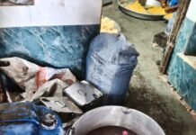 ਸ਼ੱਕ ਦੇ ਆਧਾਰ ‘ਤੇ 65 ਕਿਲੋ ਰੰਗਦਾਰ ਚਮਚਮ ਜ਼ਬਤ