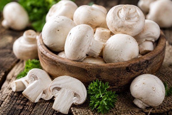 Mushroom