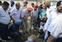 ਵਾਈਸ ਚਾਂਸਲਰ ਡਾ. ਪੁਸ਼ਪਿੰਦਰ ਸਿੰਘ ਗਿੱਲ ਨੇ ਬੂਟਾ ਲਾ ਕੇ ਆਗਾਜ਼ ਕਰਦਿਆਂ 3100 ਬੂਟੇ ਲਗਵਾਏ