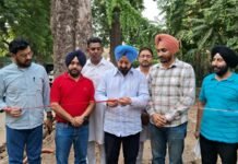 ਵਿਧਾਇਕ ਅਜੀਤਪਾਲ ਸਿੰਘ ਕੋਹਲੀ ਵੱਲੋਂ 33 ਲੱਖ ਰੁਪਏ ਦੀ ਲਾਗਤ ਨਾਲ ਬਣੇ ਫੁੱਟਪਾਥ ਦਾ ਉਦਘਾਟਨ