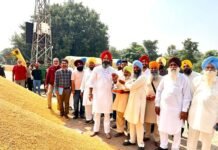 ਪਨਗਰੇਨ ਦੇ ਚੇਅਰਮੈਨ ਡਾ. ਗਿੱਲ ਨੇ ਸੁਧਾਰ ਮੰਡੀ ’ਚ ਝੋਨੇ ਦੀ ਸਰਕਾਰੀ ਖਰੀਦ ਦੀ ਕਰਵਾਈ ਸ਼ੁਰੂਆਤ